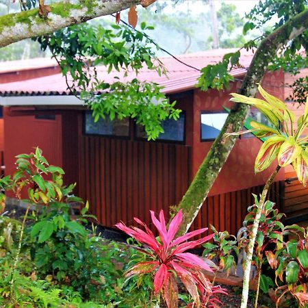 فيلا Casitas Eco Bambu كرتاغو المظهر الخارجي الصورة