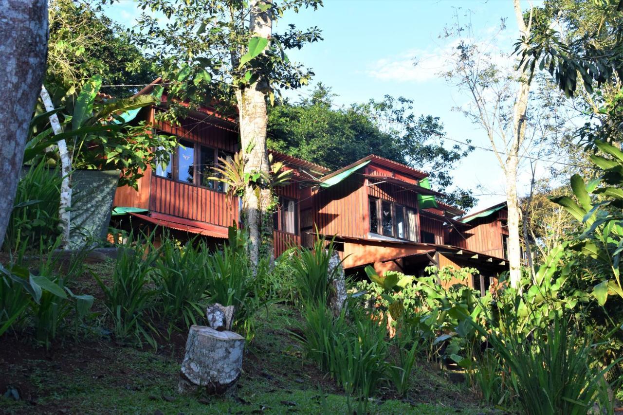 فيلا Casitas Eco Bambu كرتاغو المظهر الخارجي الصورة