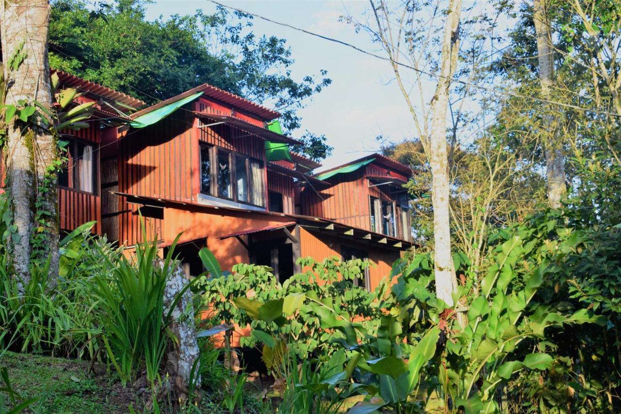 فيلا Casitas Eco Bambu كرتاغو المظهر الخارجي الصورة