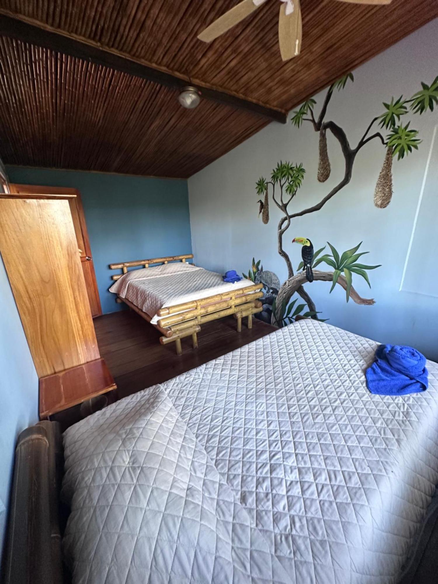 فيلا Casitas Eco Bambu كرتاغو المظهر الخارجي الصورة